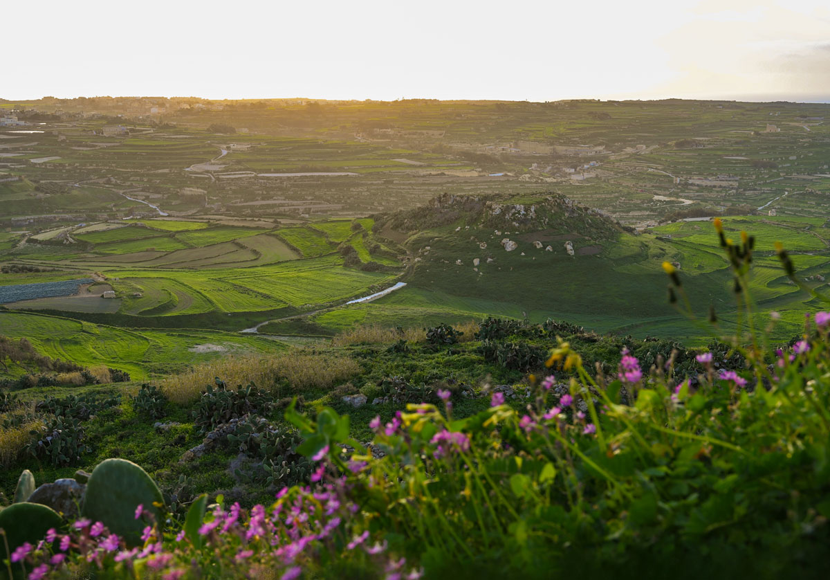 gozo-winter-countryside.jpg