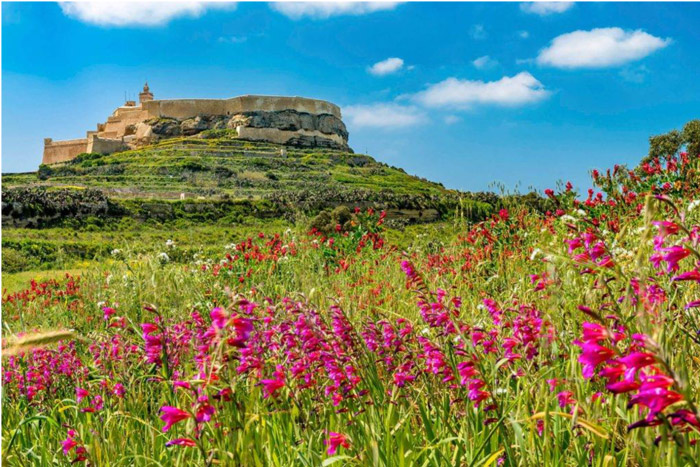 spring-in-gozo.jpg spring-in-gozo.jpg