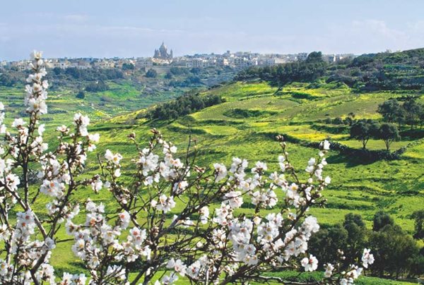Nadur-Gozo-Springtime.jpg