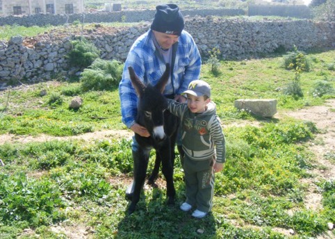 animal-farm-gozo.jpg animal-farm-gozo.jpg
