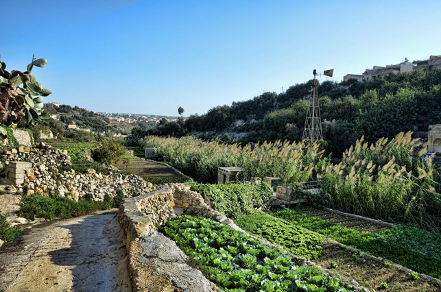 lunzjata-gozo.jpg lunzjata-gozo.jpg